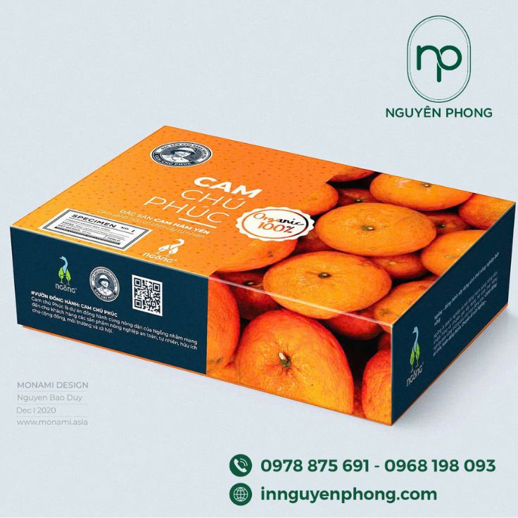 mau-bia-carton-song-b-4